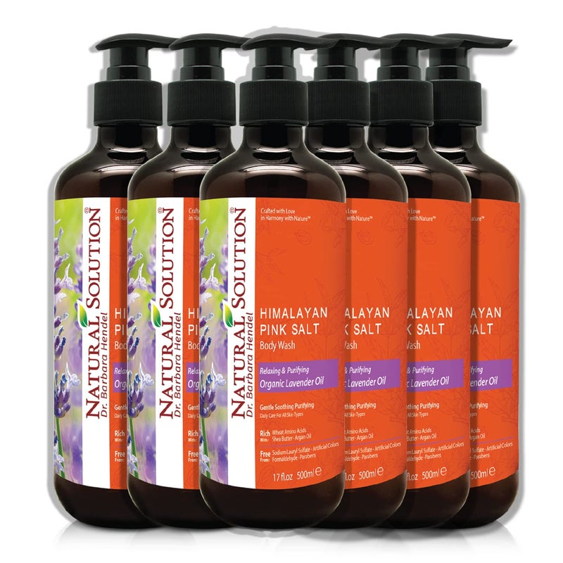 Natural Solution Body Wash, Made With Himalayan Pink Salt & Organic Lavender Oil, Purifying and Transforms The Even Driest Skin in Just One Shower, 17 fl oz (6 Count) - Image 1